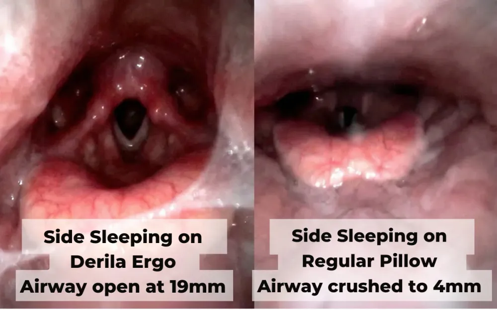 Advertorial Images (16)